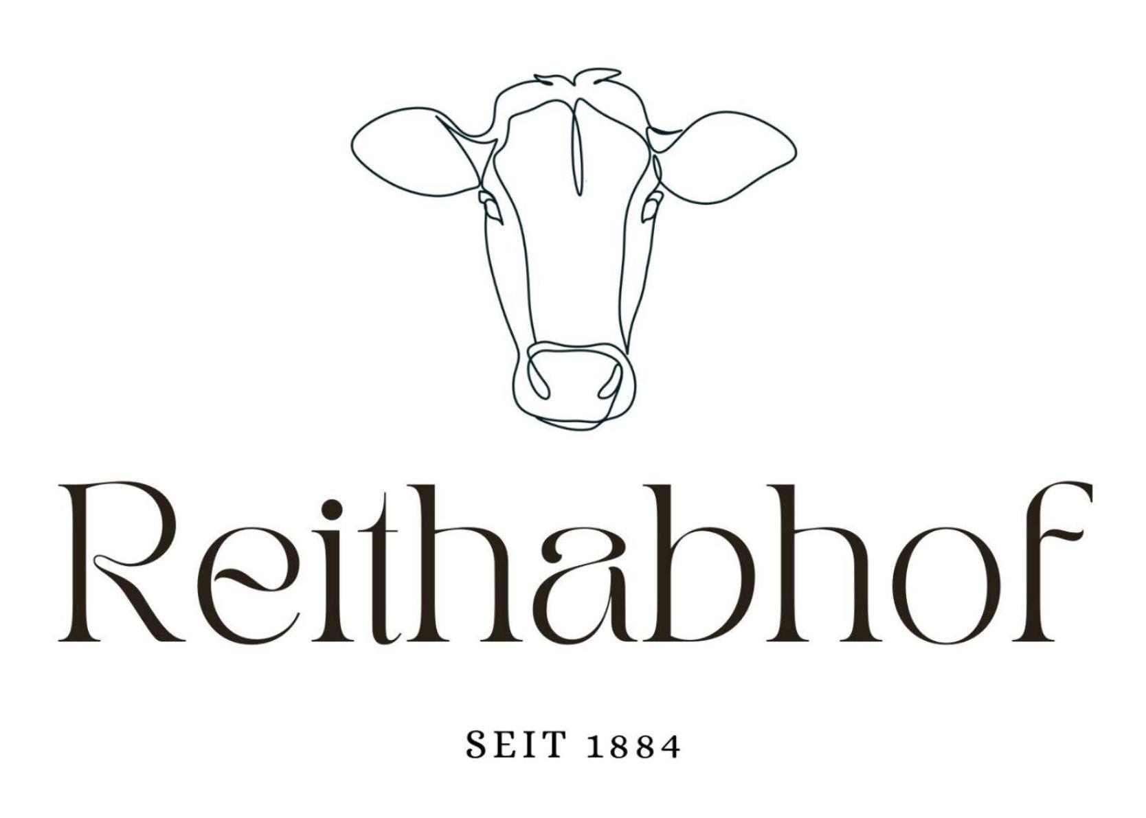 Reithabhof Apartments Schladming Eksteriør billede