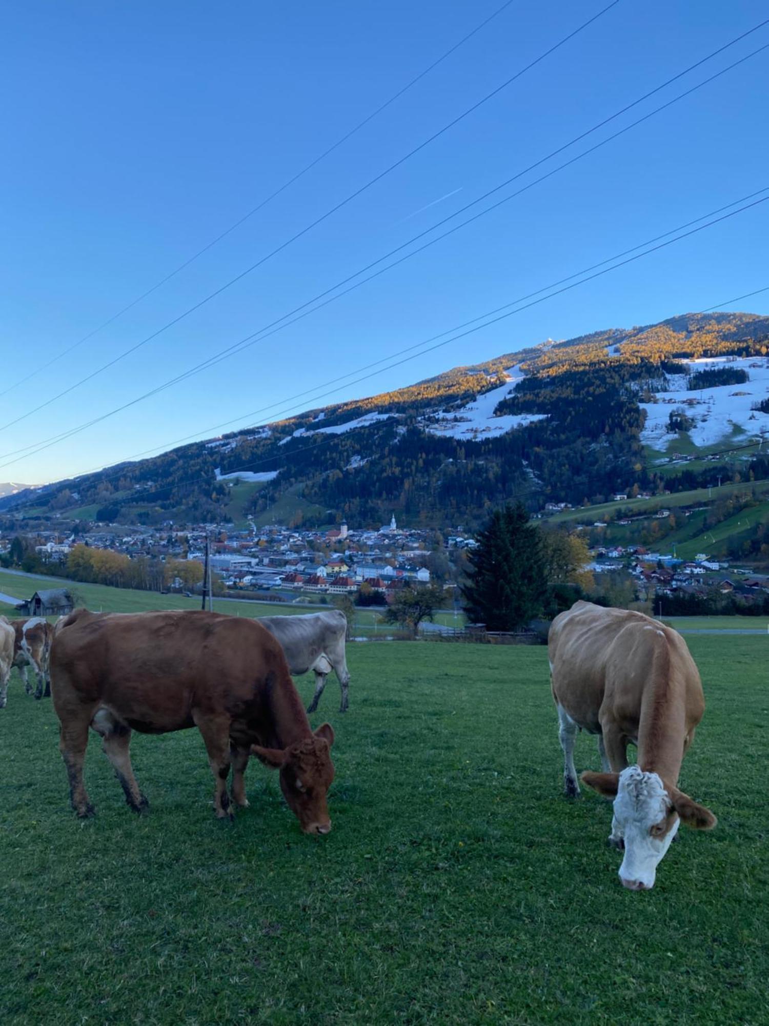 Reithabhof Apartments Schladming Eksteriør billede